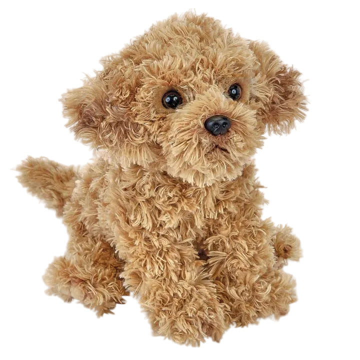 Doodles the Labradoodle