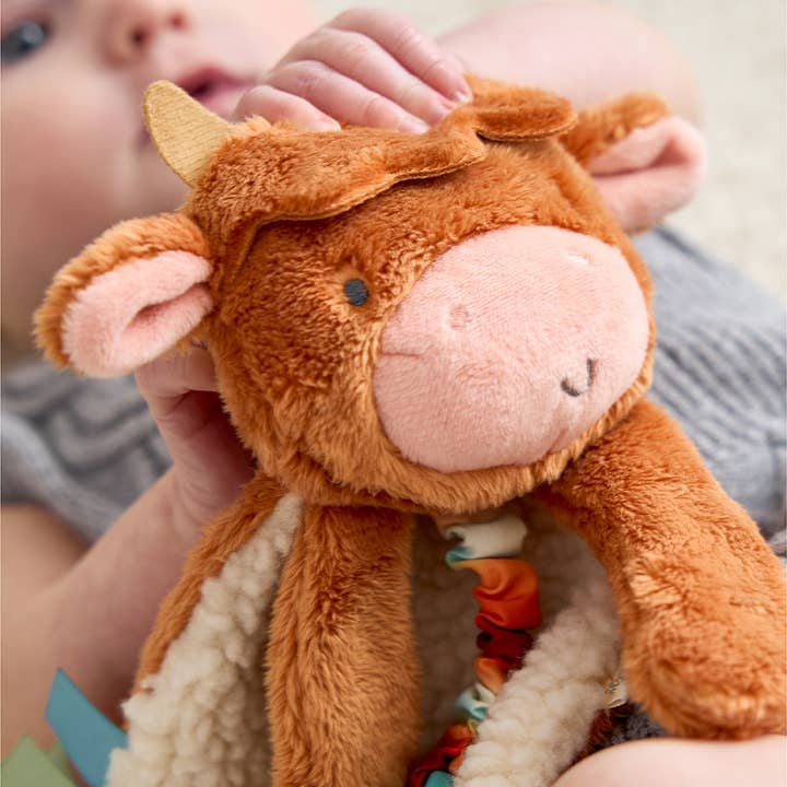 Itzy Lovey™ Plush and Teether Toy - Wyatt the Highland Cow