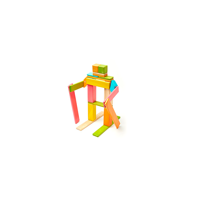 24-Piece Set <br>Magnetic Wooden Blocks <br>Tegu Classics