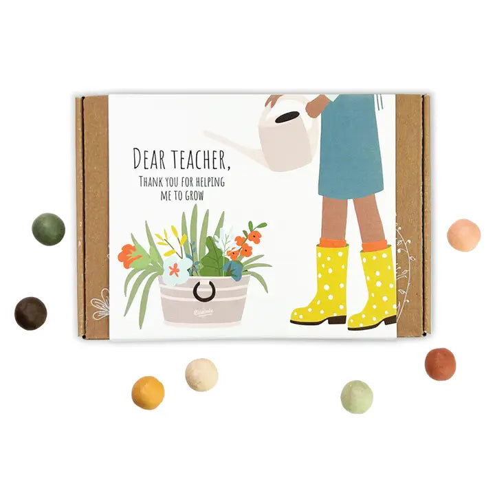 Small Dear Teacher Seed Bomb Box | Wildflower Balls | Gift