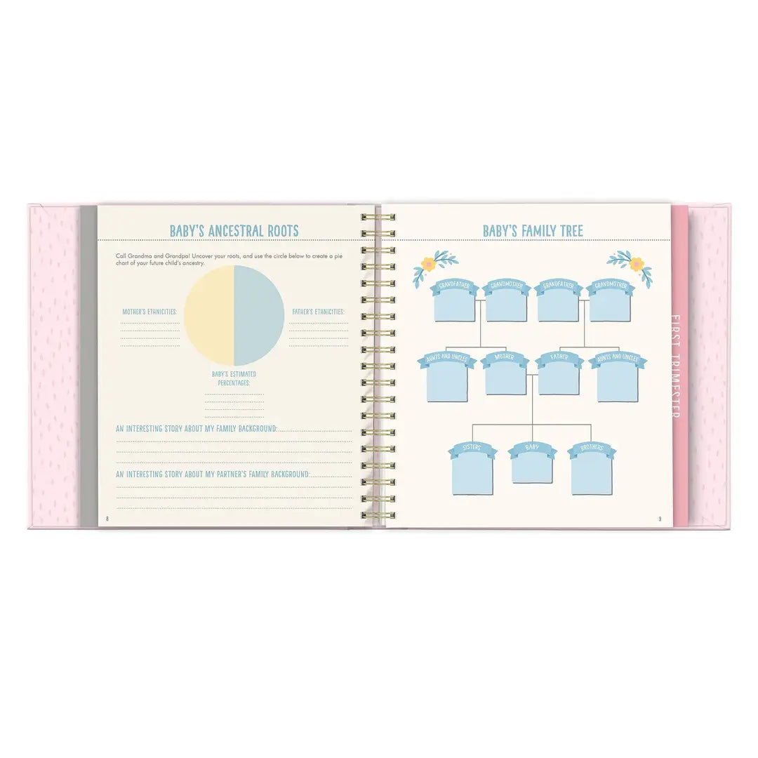 Bump For Joy: A Pregnancy Journal (Pink)