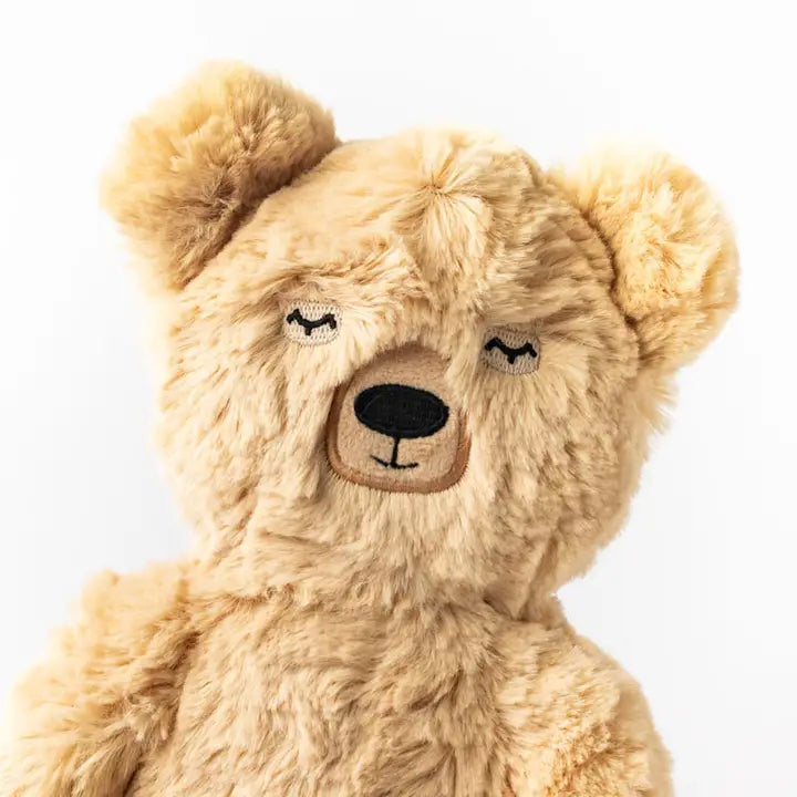 Honey Bear's Gratitude Plush Set - with 2 Books!