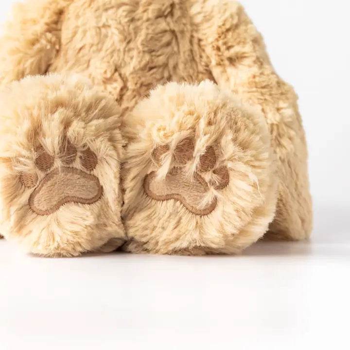 Honey Bear's Gratitude Plush Set - with 2 Books!