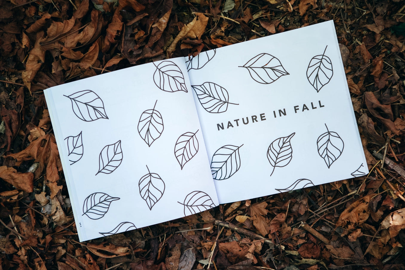 Fall Things: How To Draw Books For Kids with Pumpkins, Scarecrows, Turkeys and More