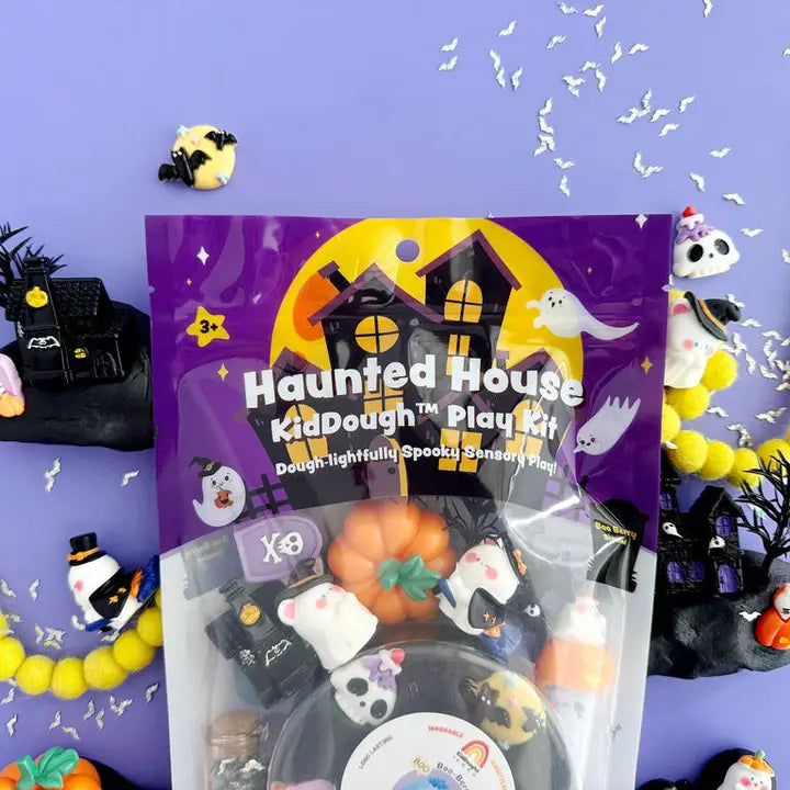 Haunted House Kiddough Play Kit