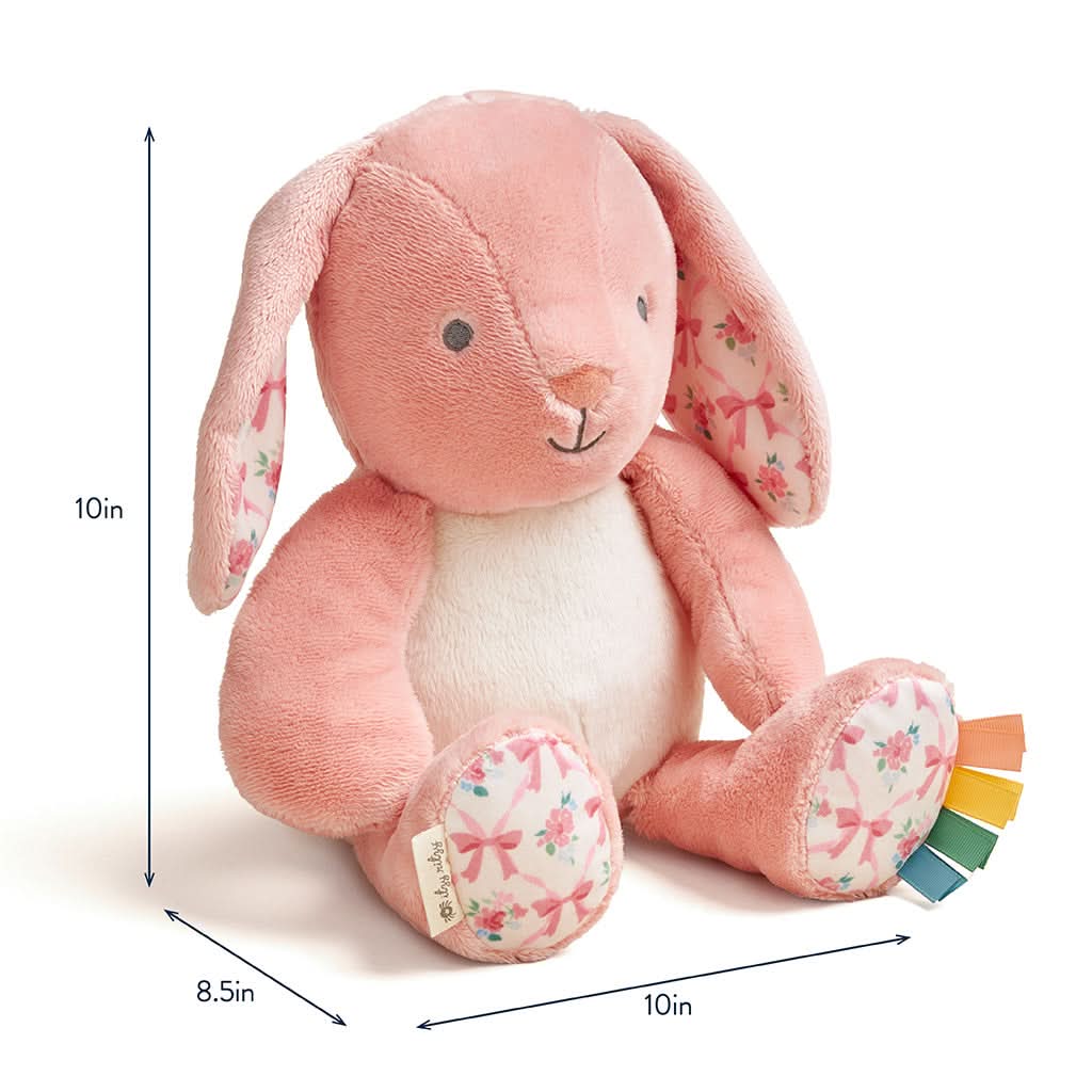 Sweetie Snuggles™ Plush - Ana the Bunny