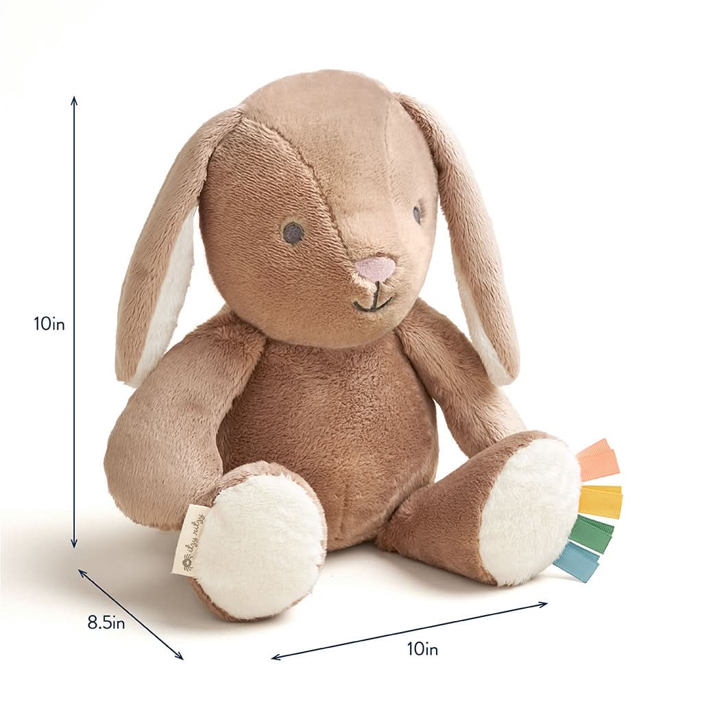 Sweetie Snuggles™ Plush - Billie the Bunny