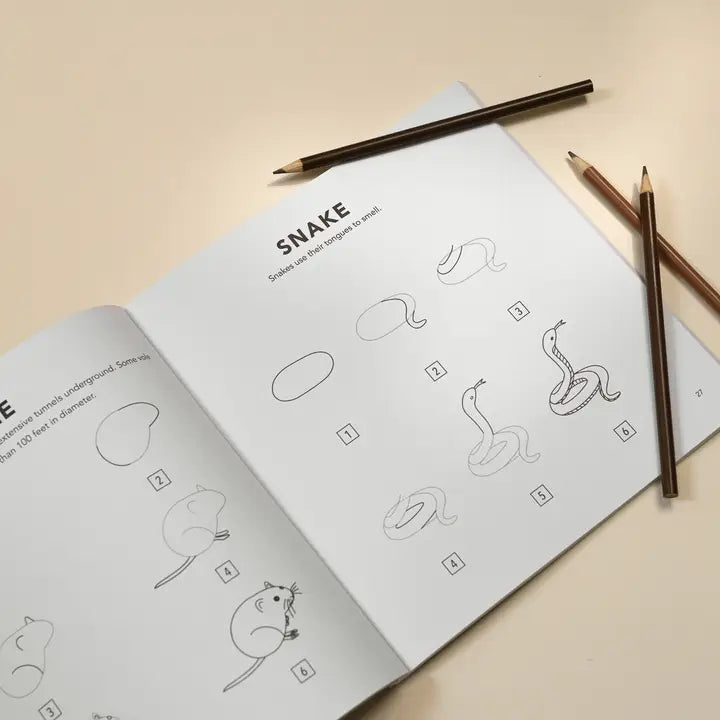 Mushrooms & Woodland Creatures: Kids How To Draw Book