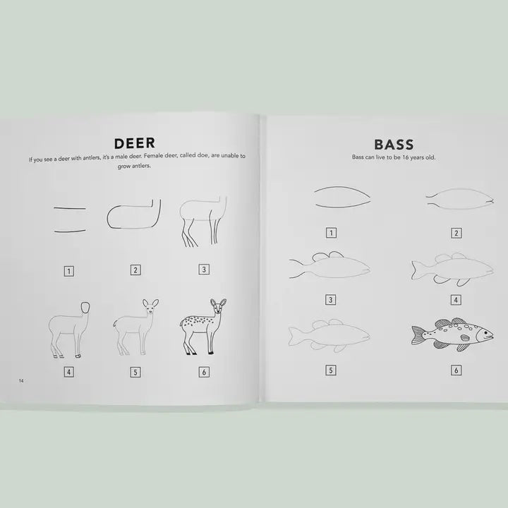 Mushrooms & Woodland Creatures: Kids How To Draw Book