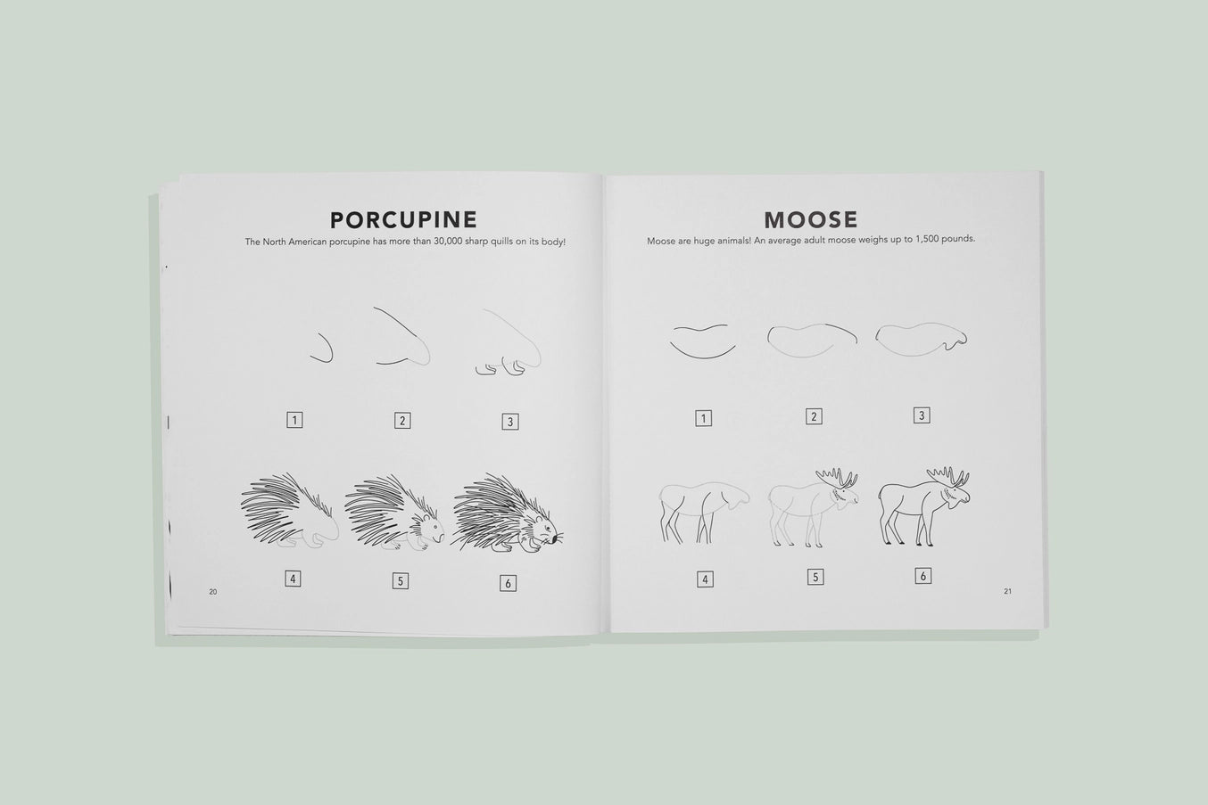 Mushrooms & Woodland Creatures: Kids How To Draw Book