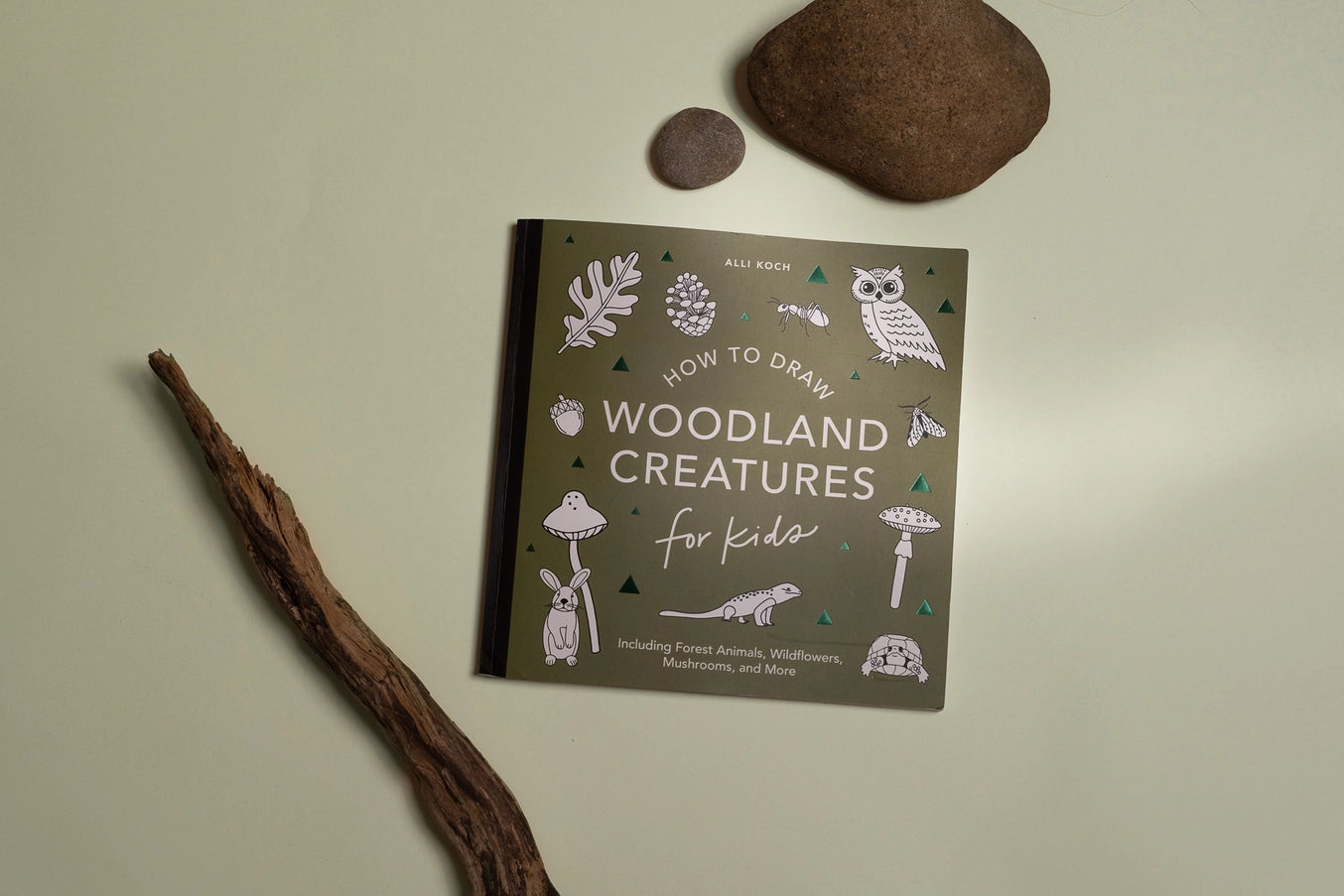 Mushrooms & Woodland Creatures: Kids How To Draw Book