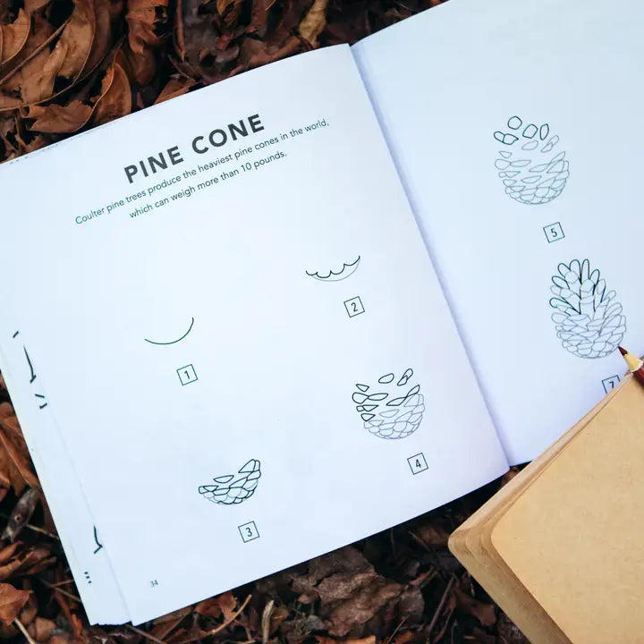 Fall Things: How To Draw Books For Kids