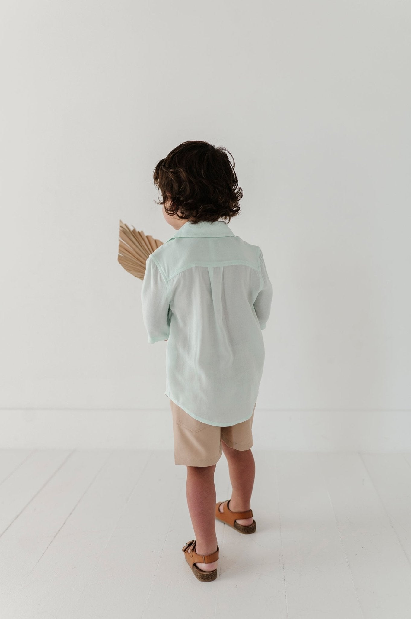 Boy's Dressy Shorts