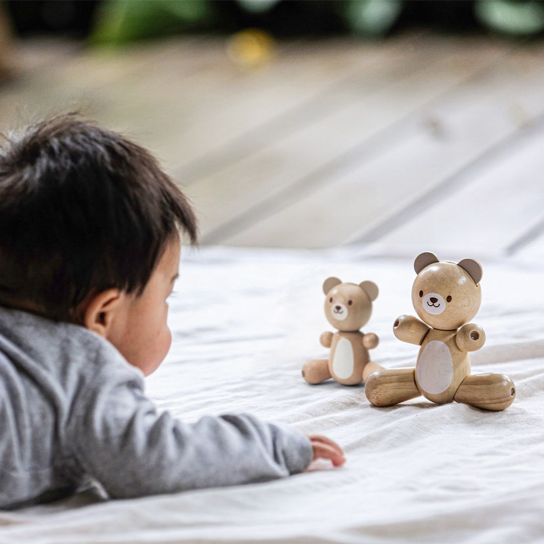 Bear and Little Bear