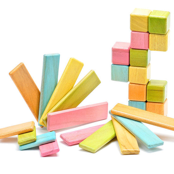Discovery Set <br>Magnetic Wooden Blocks <br>26 pieces