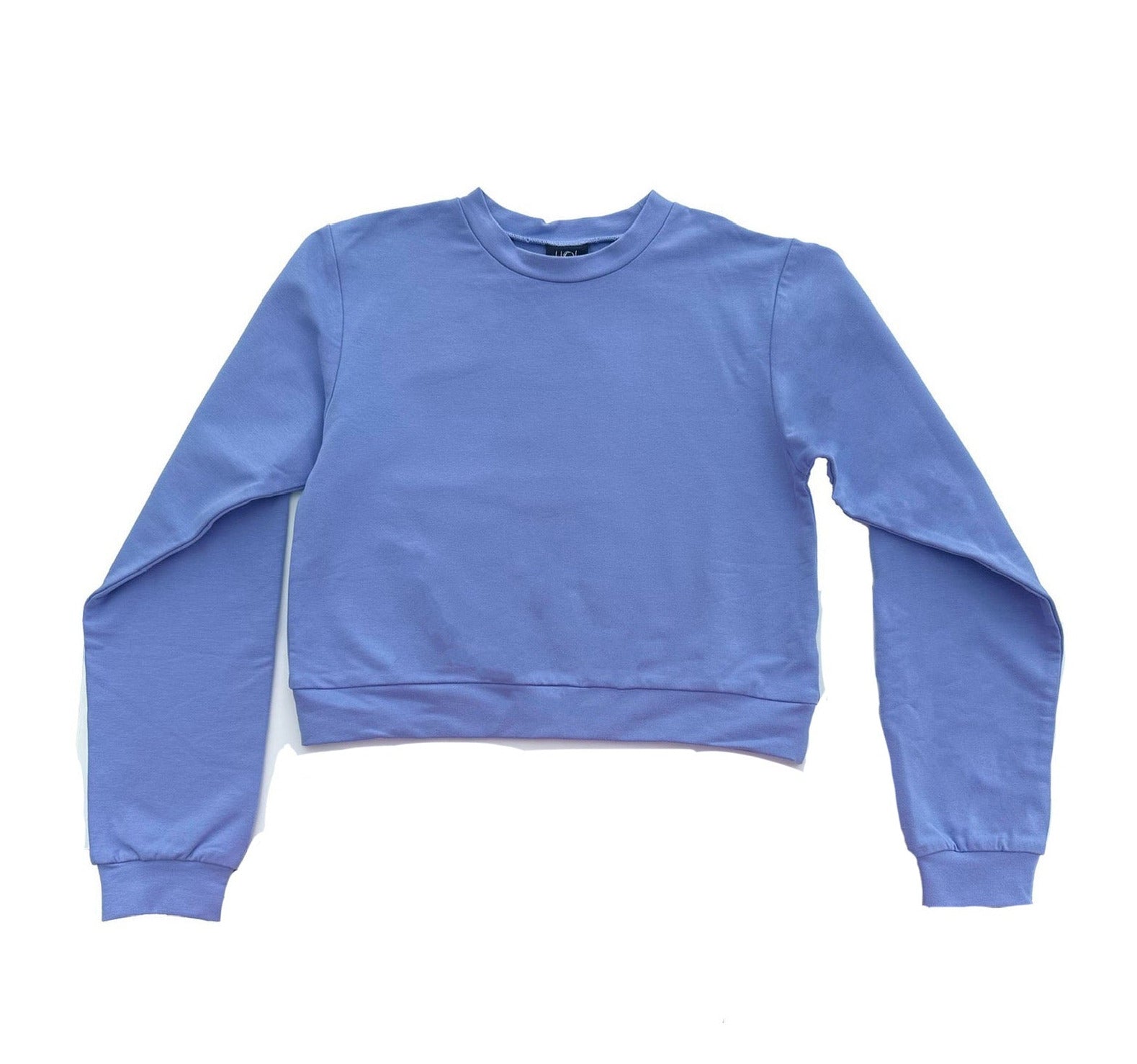 AA Blue Sweatshirt