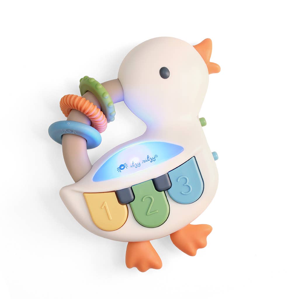 Baby Goose Baby Gift