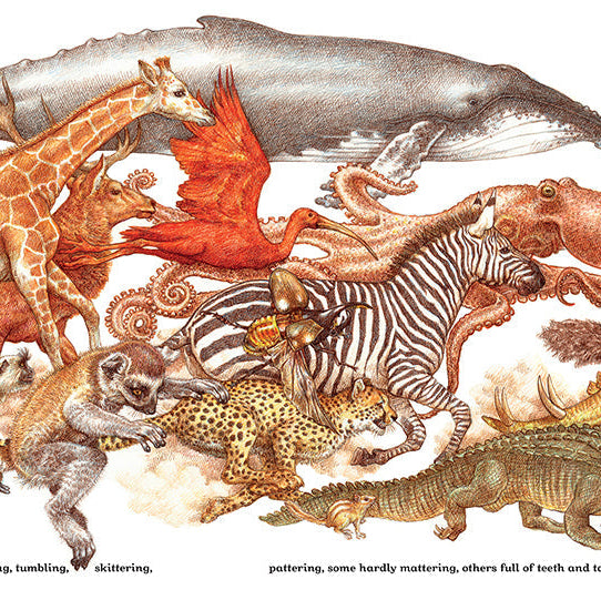 Animals on Parade