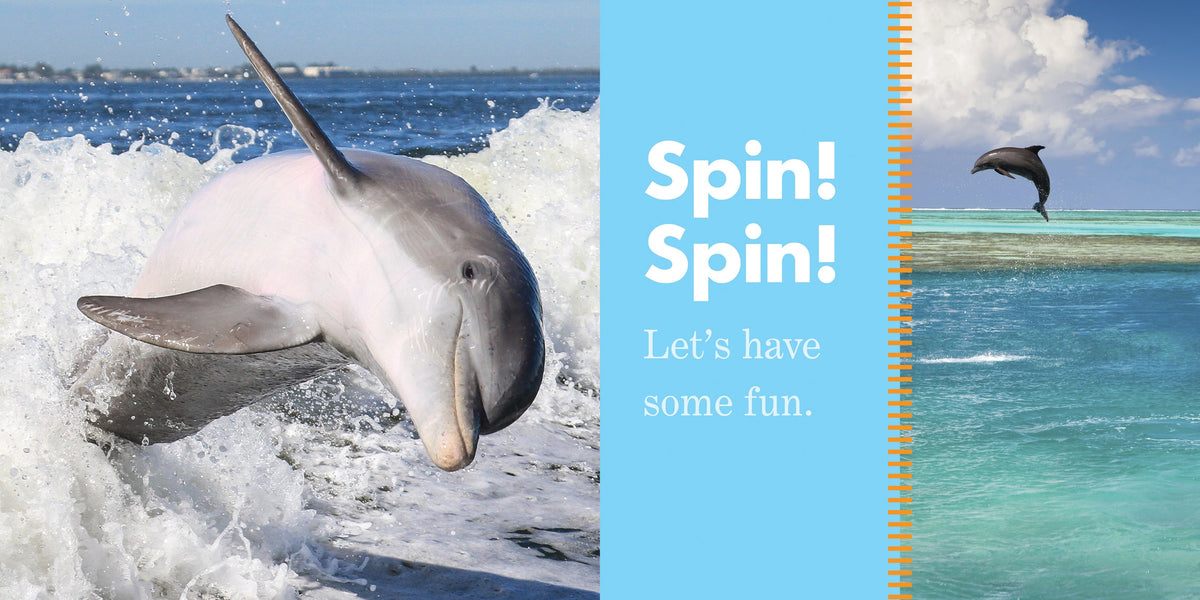 Dolphins Play