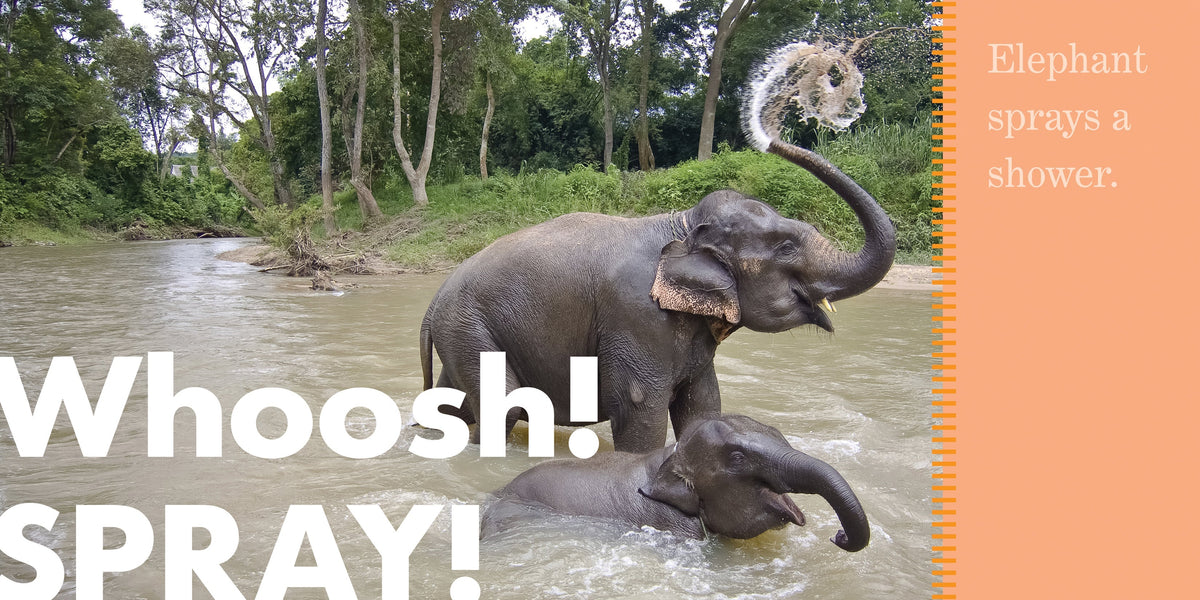 Elephants Spray