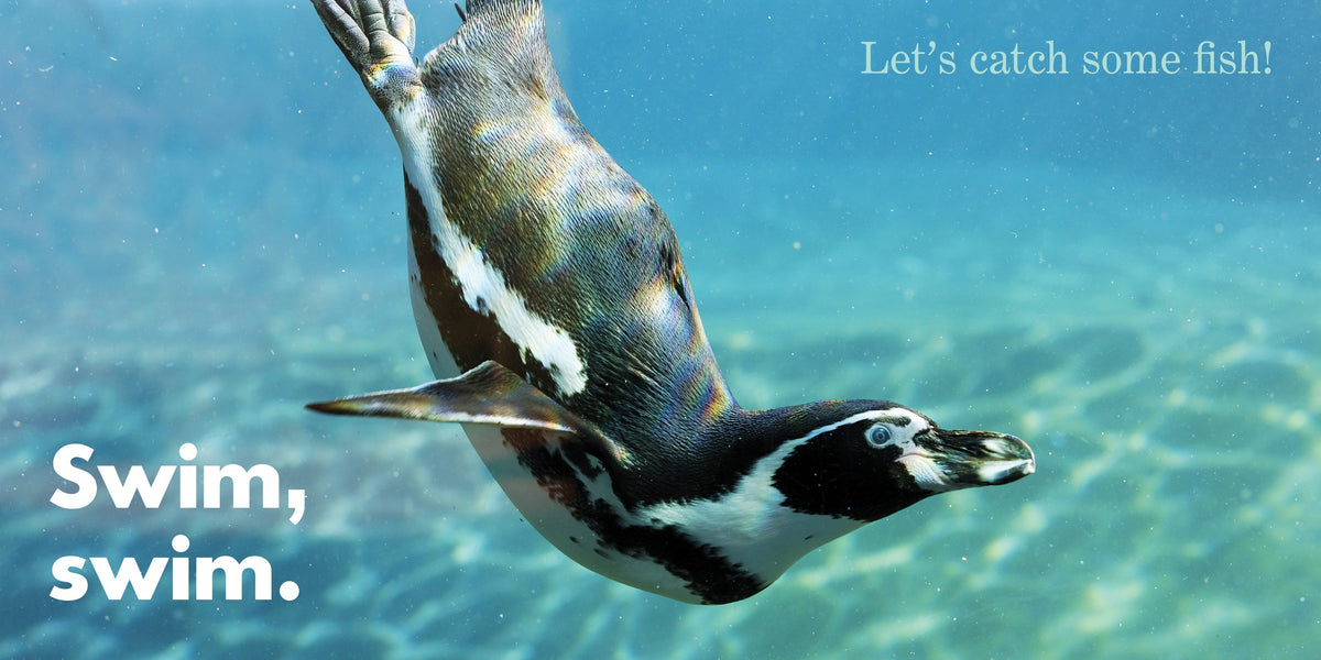 Penguins Waddle