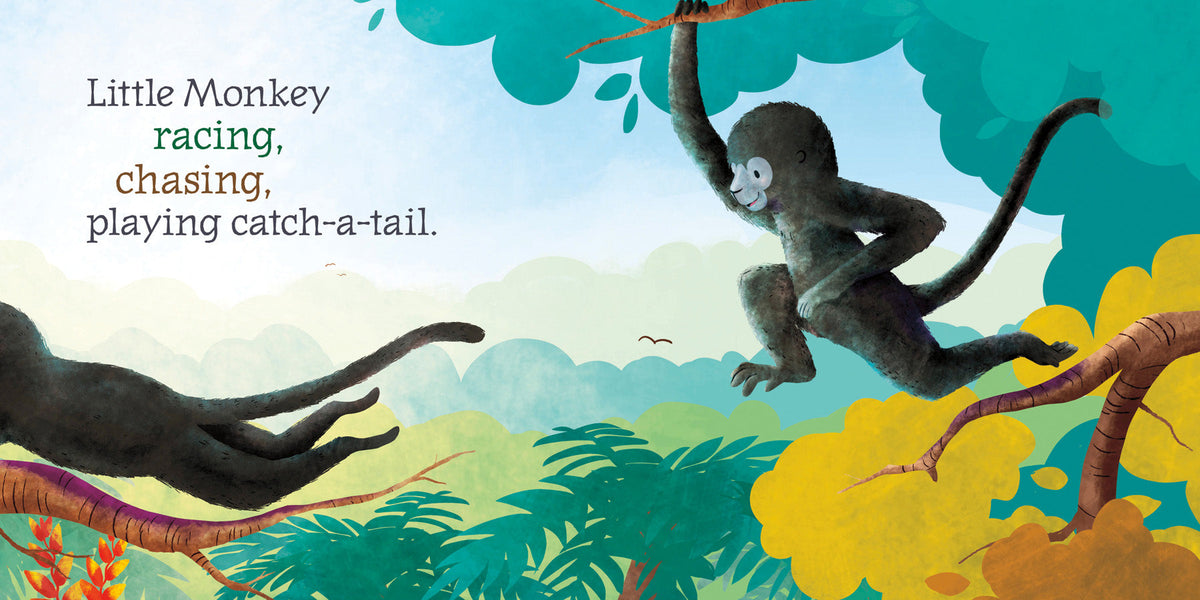 Little Monkey
