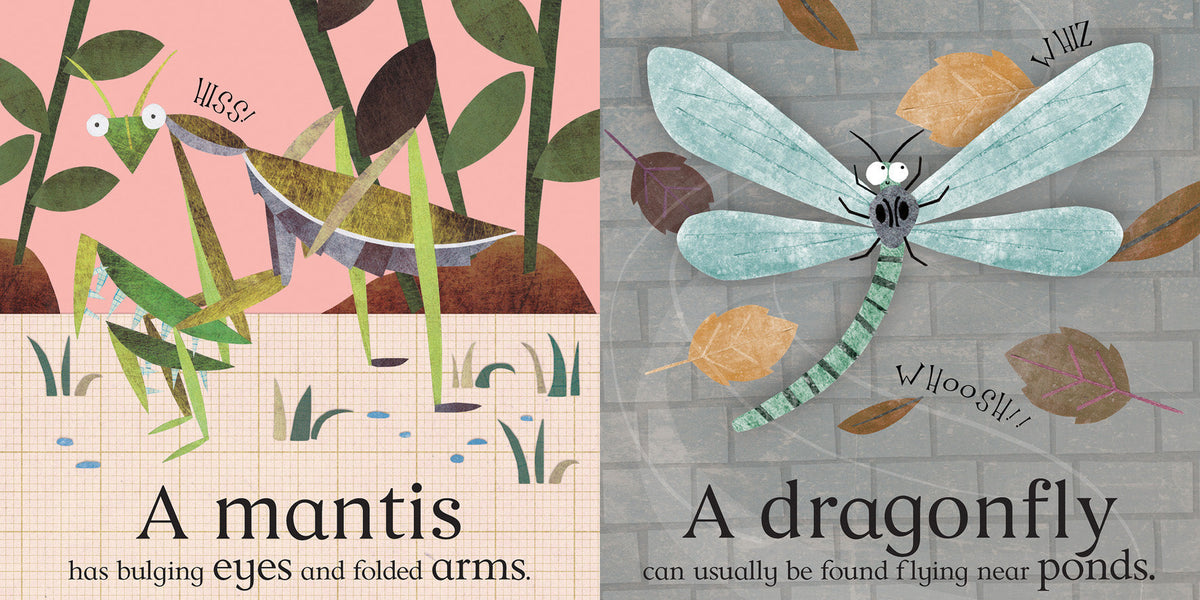 The Amicus Book of Bugs