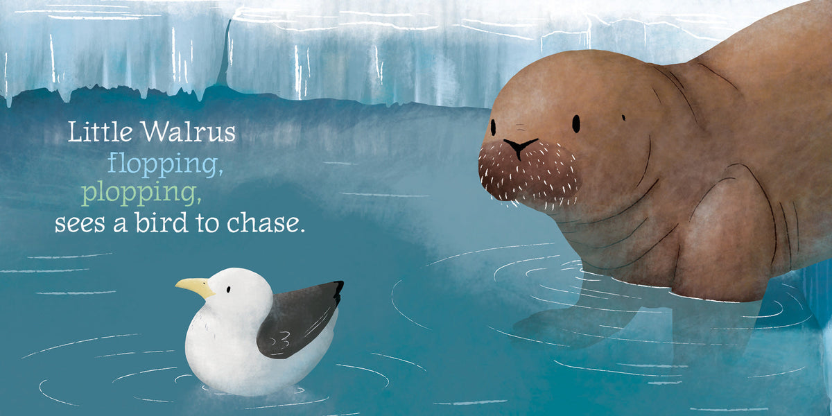 Little Walrus