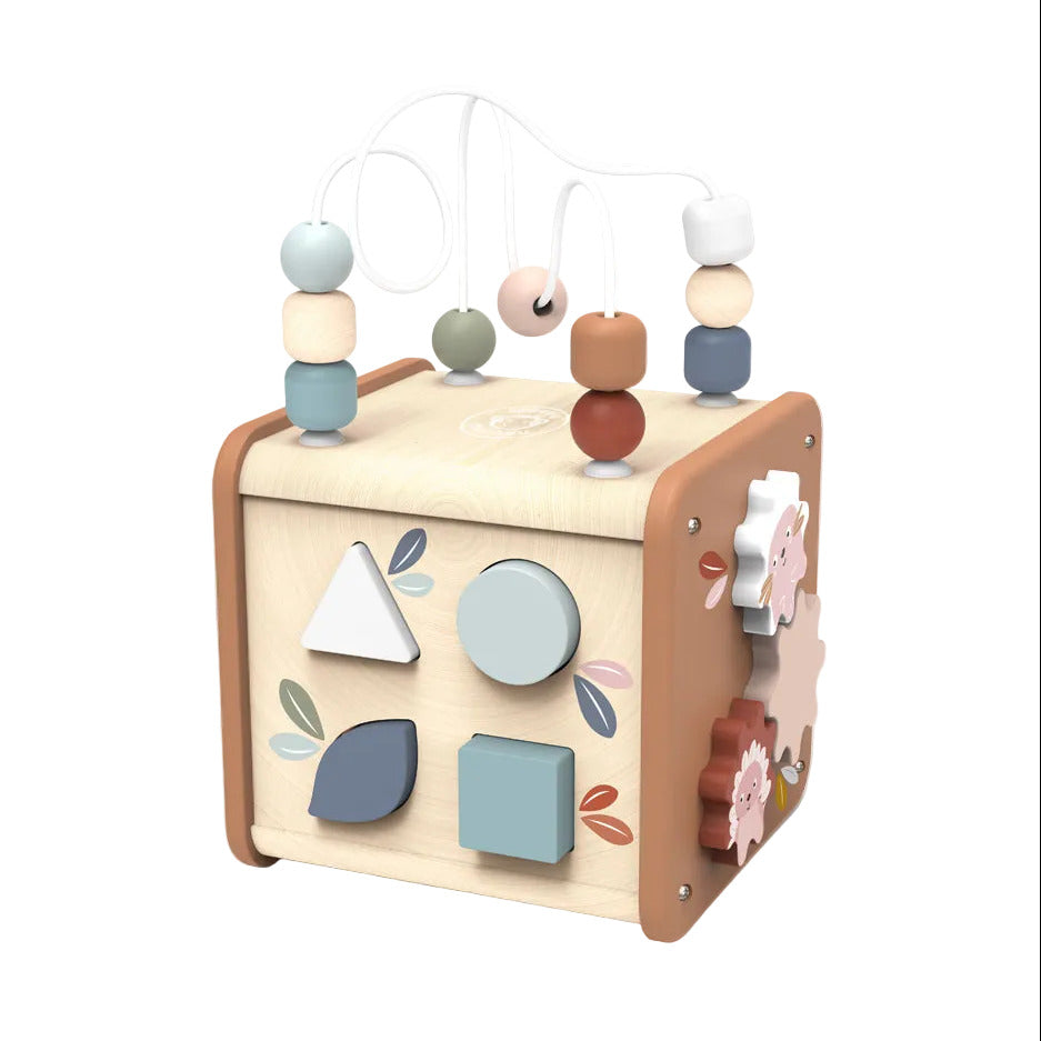 5 in 1 Activity cube