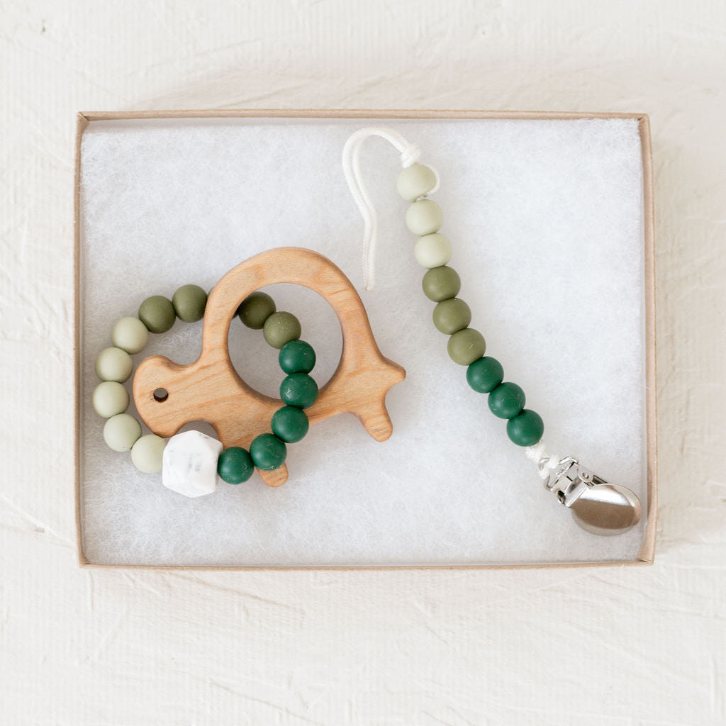 Parakeet Ombré Pacifier Clips