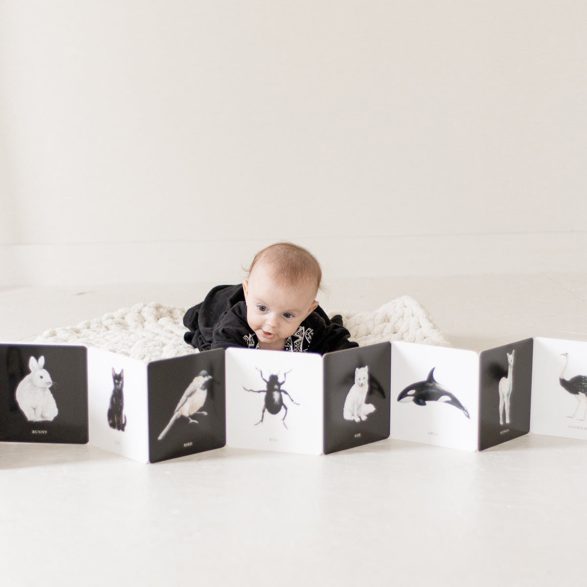 Black and White Contrast Book
