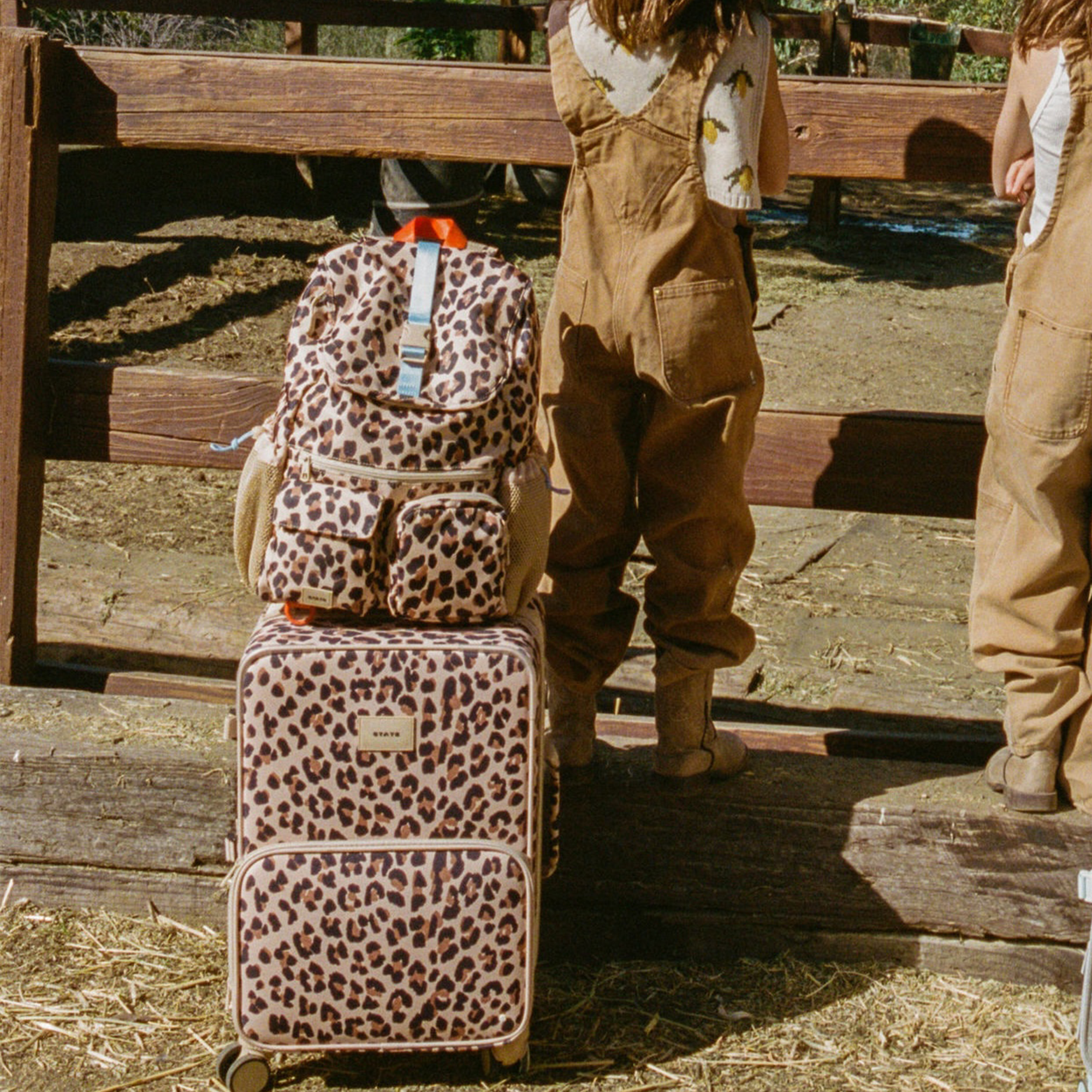 Logan Carry-On Suitcase