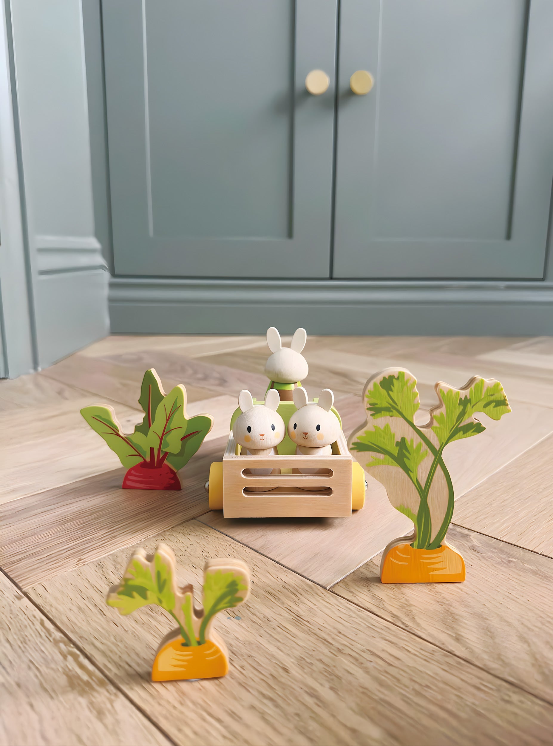 Bunny's Carrot Patch