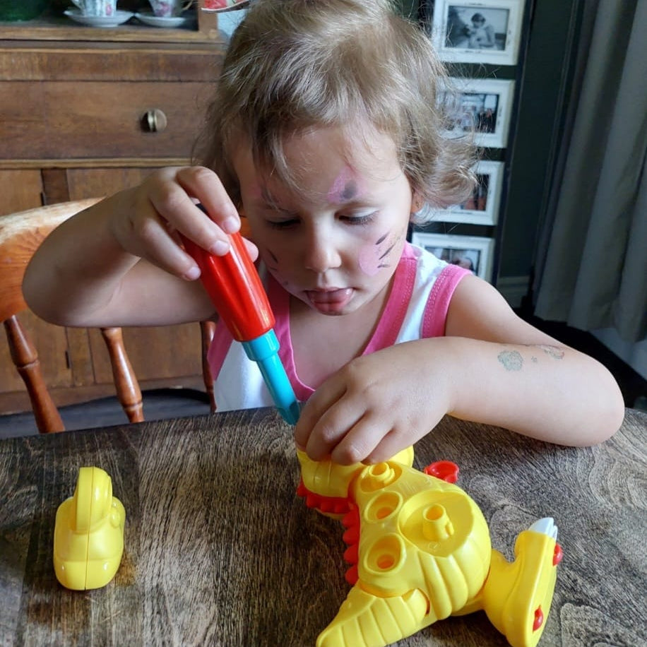 DINO WORKS T-REX DIY Take Apart Toy