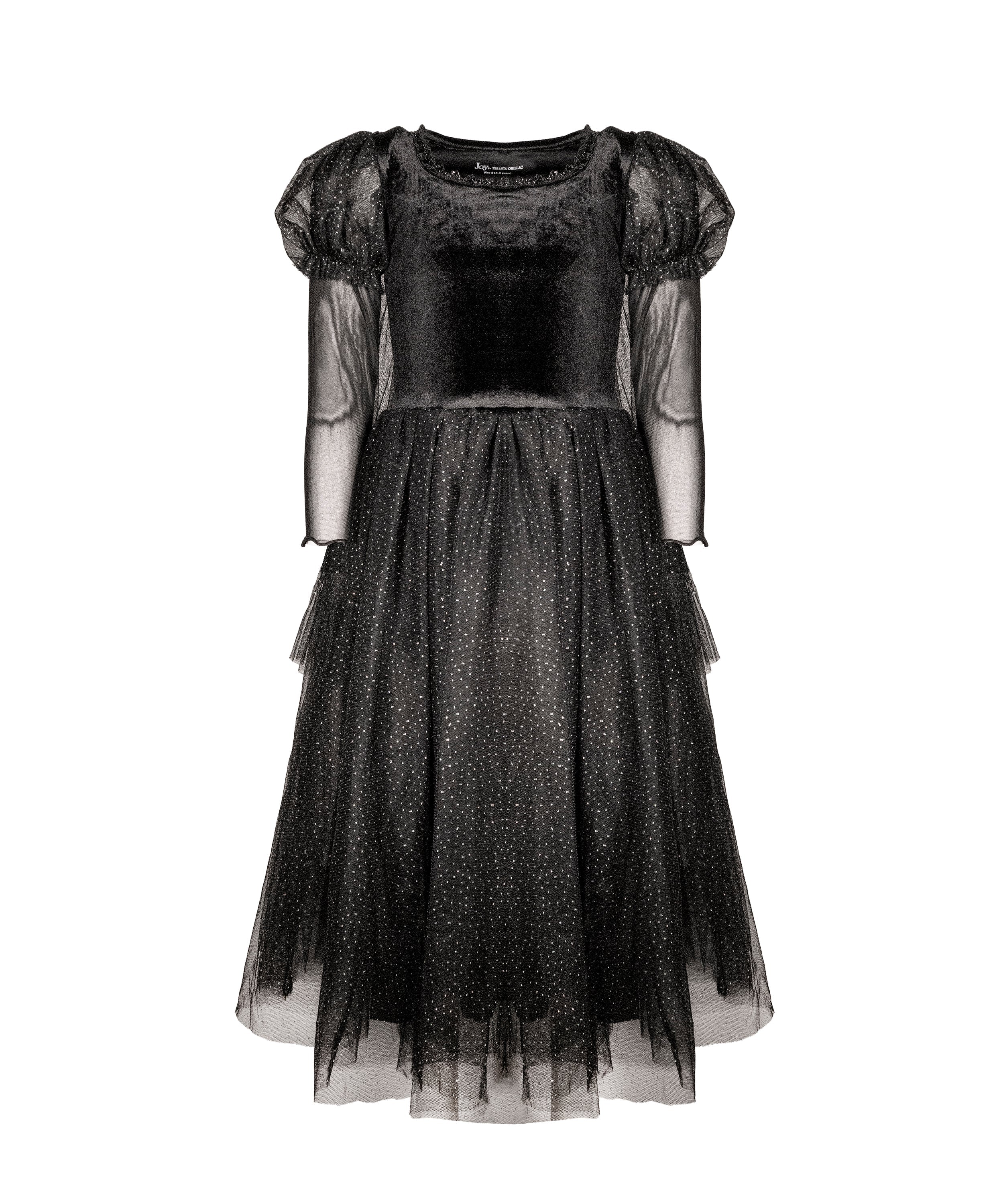 The Witch of the West  Costume Dress
