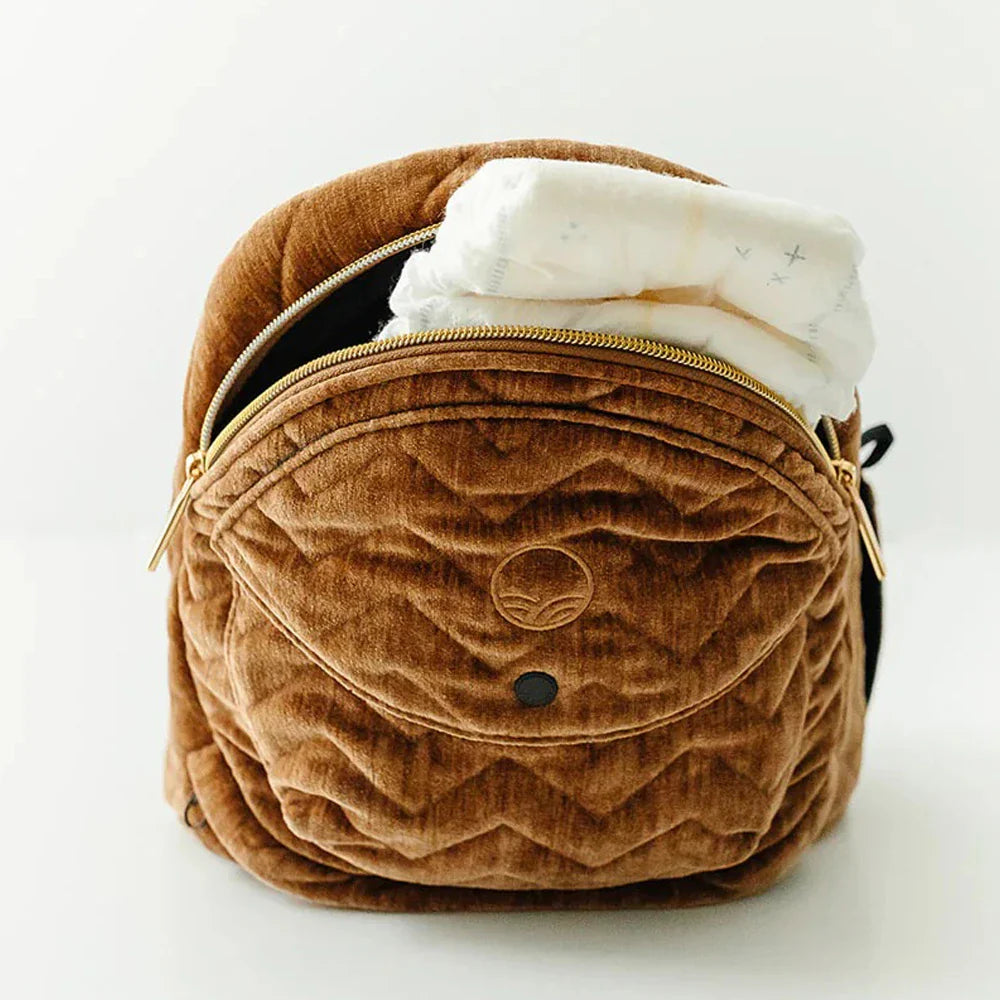 The Tushbaby Hip Carrier