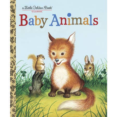 Baby Animals