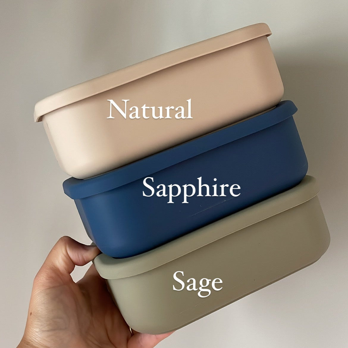 Silicone Bento Box