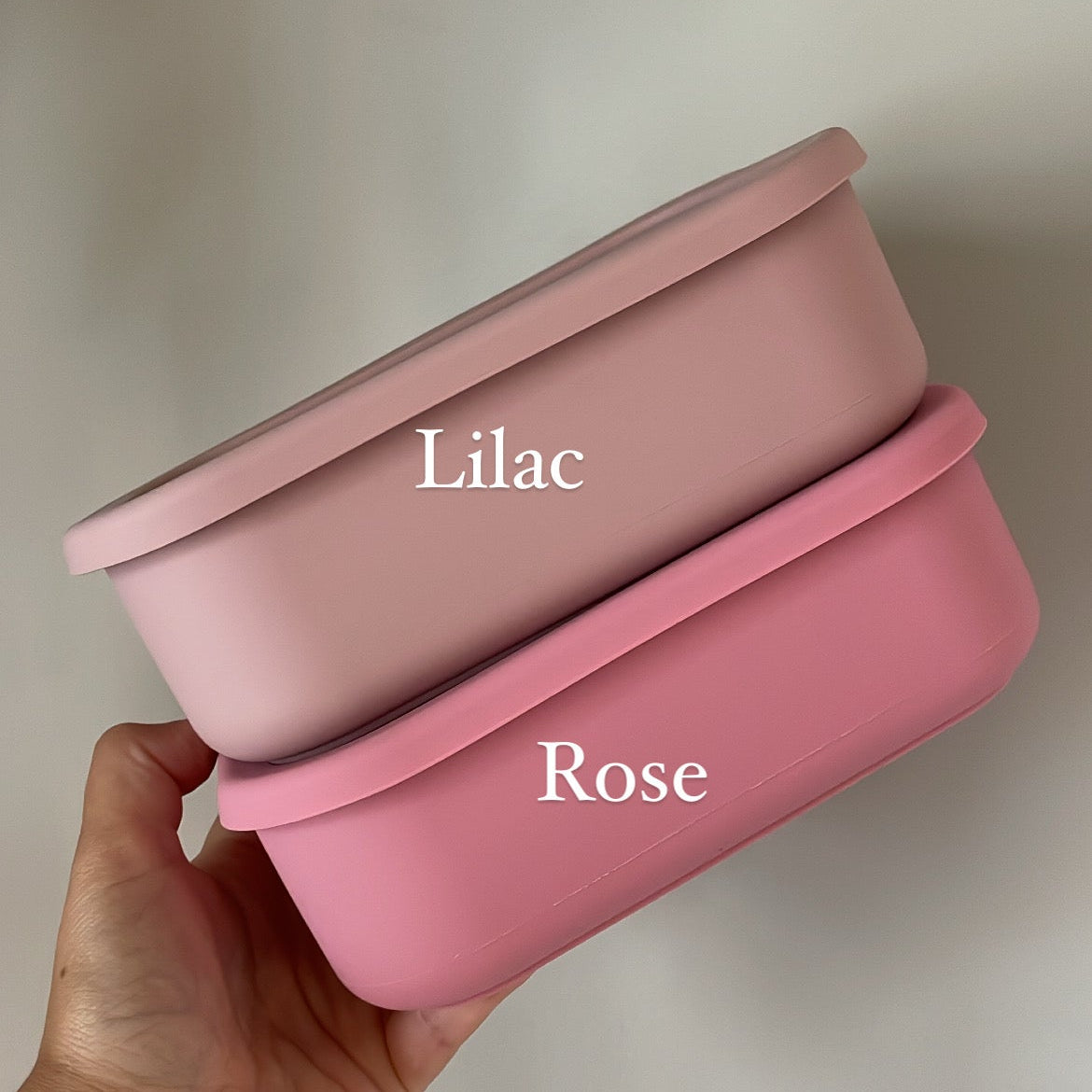 Silicone Bento Box