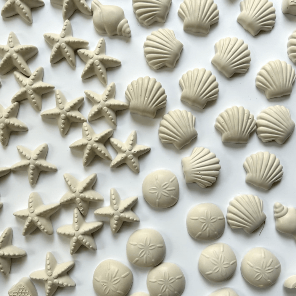 Mermaid & Seashell Paint Kit