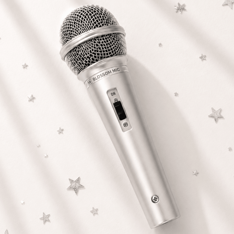 Silver Pop Star Microphone