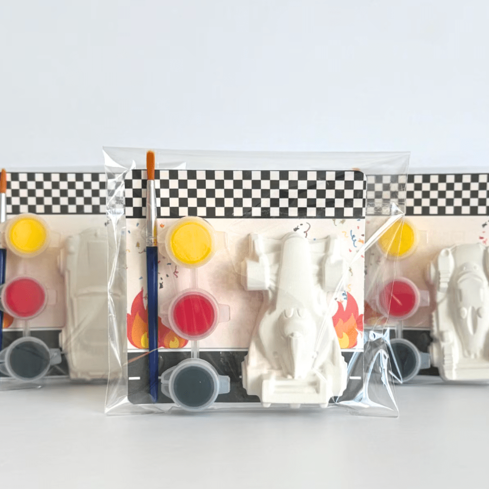 Race Car Paint Kit
