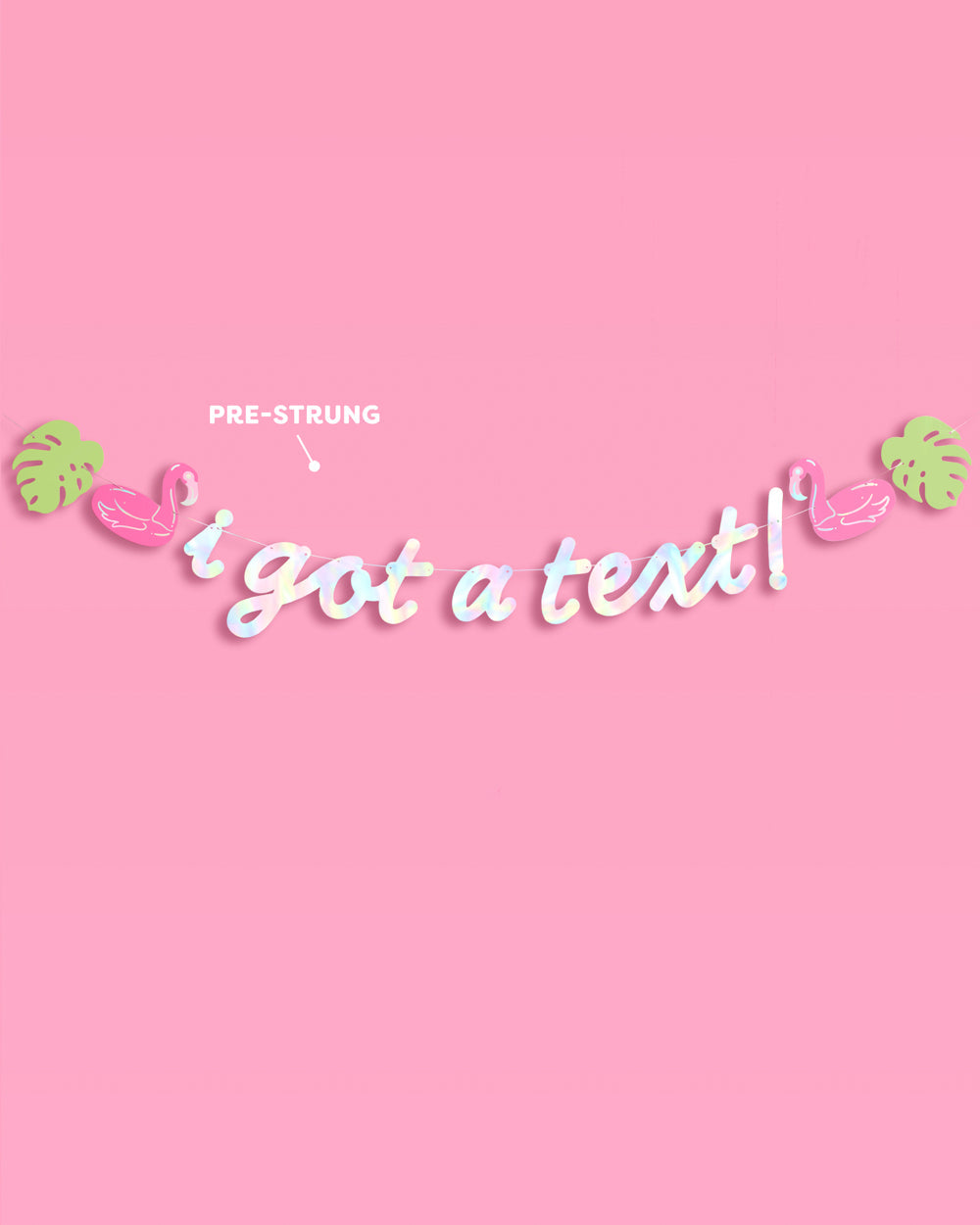 I Got A Text Banner - iridescent foil banner