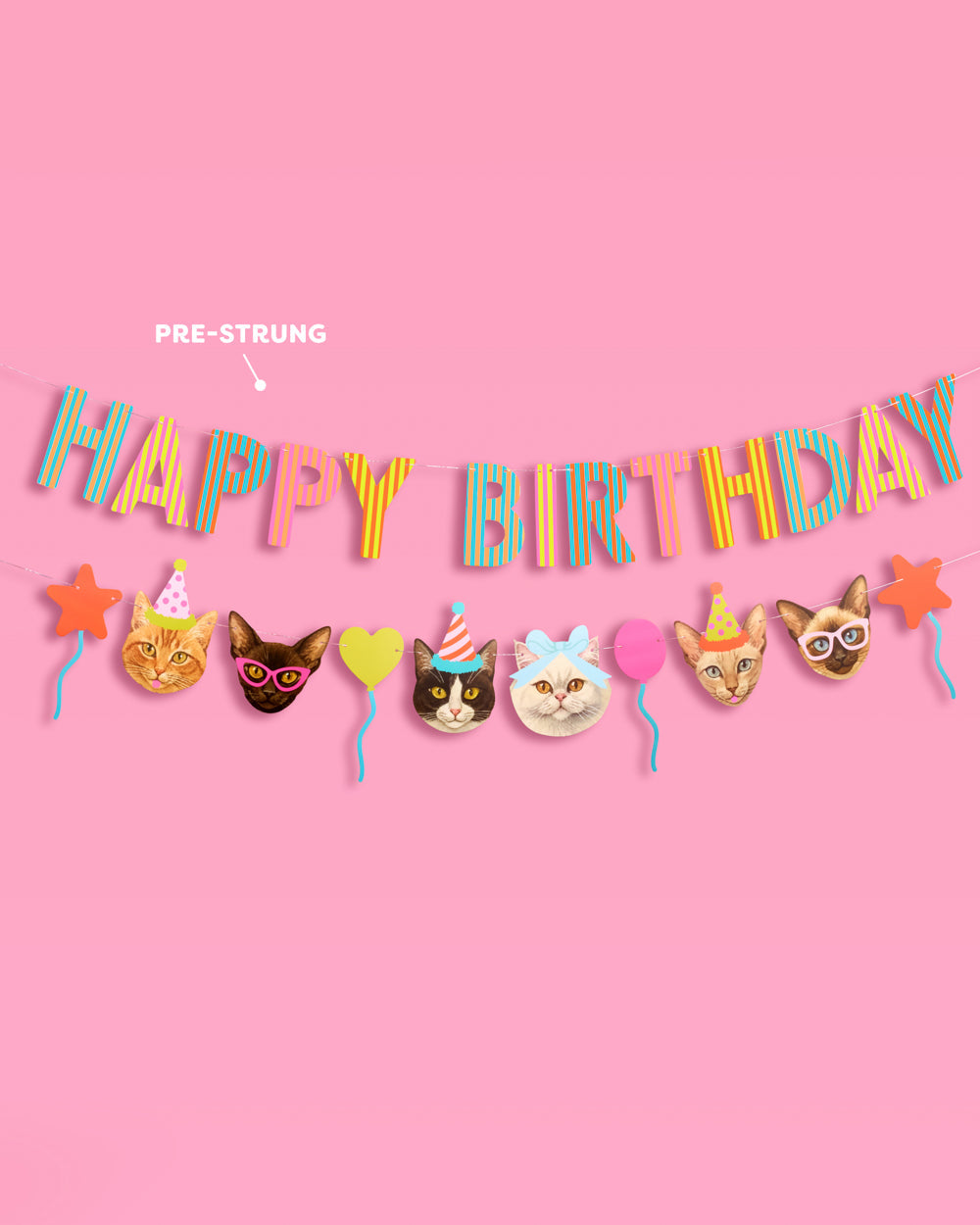 Crazy Cat Banner - really fun party banner
