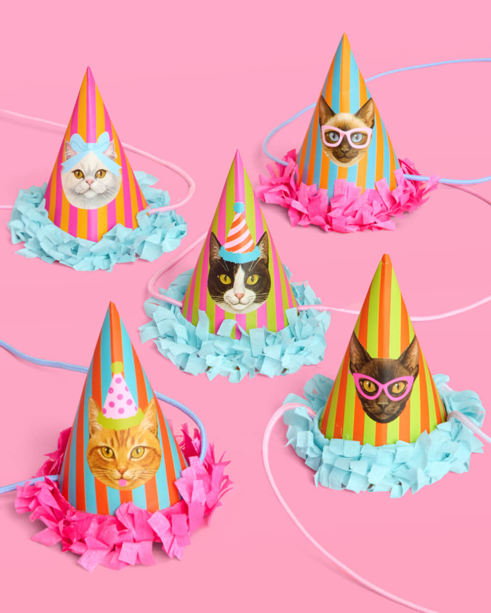 Cat Bday Bundle - banner, napkins, plates + party hats