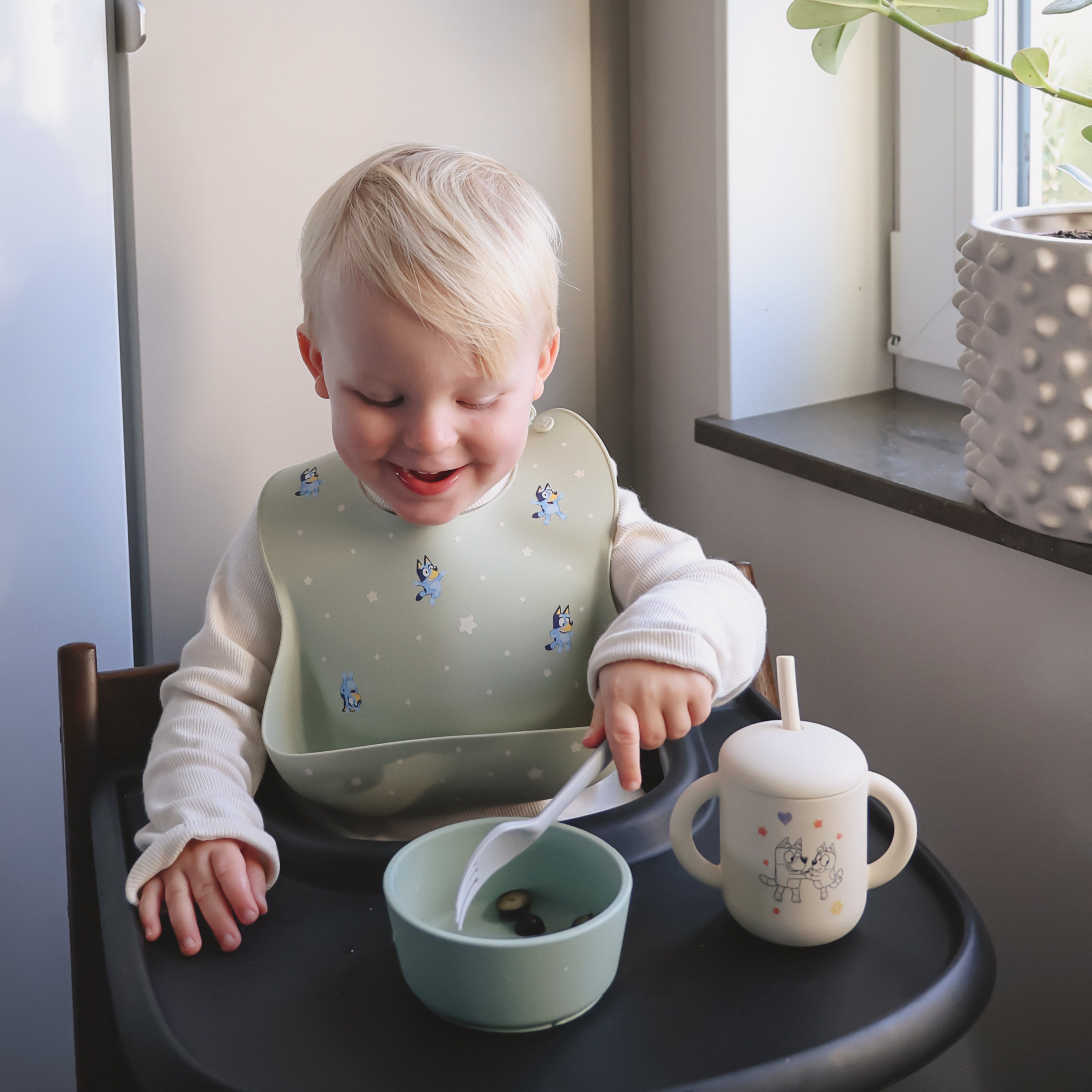 Silicone Suction Bowl