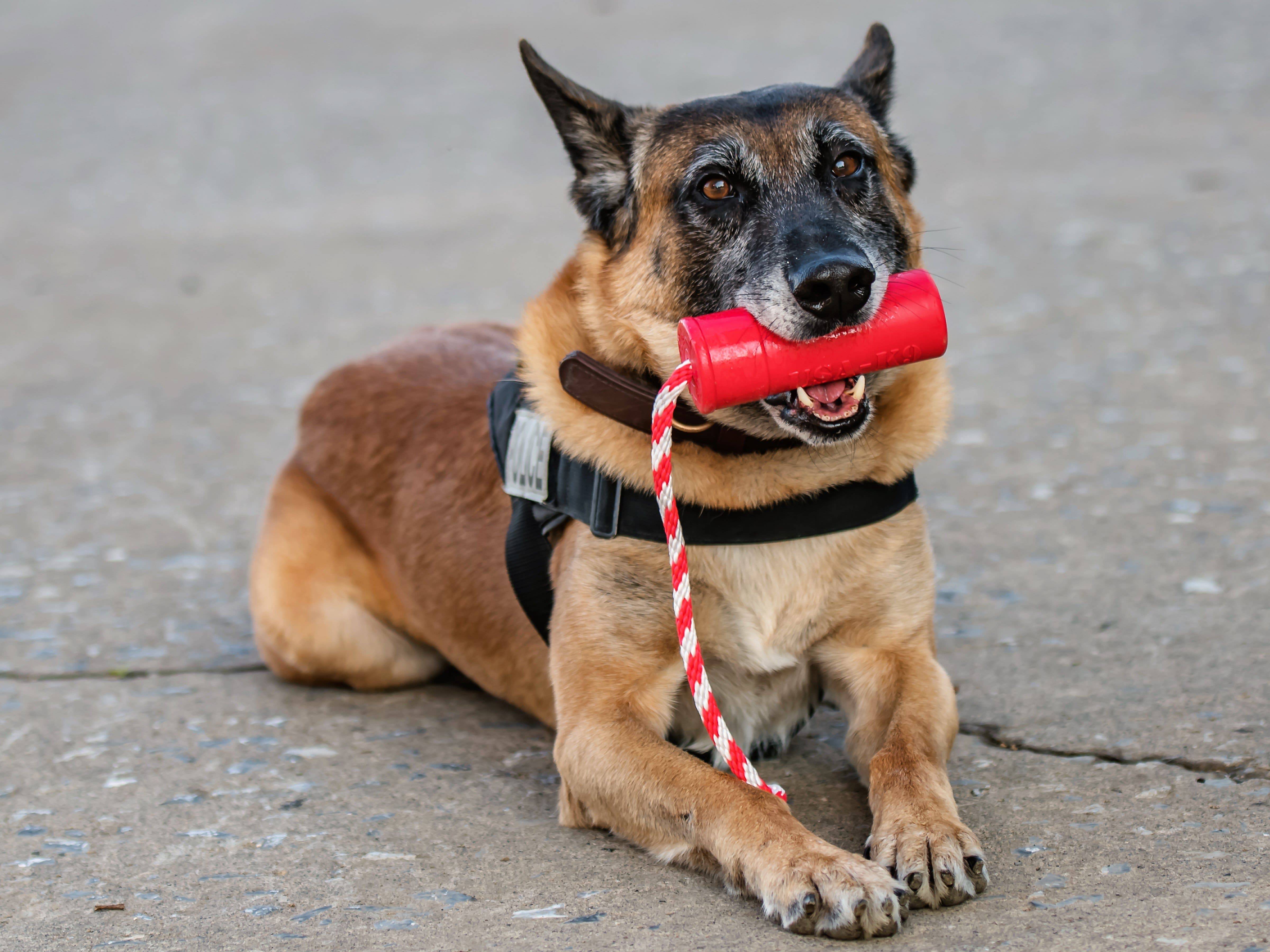 USA-K9 Firecracker Floating Training Dummy | K9 Handler Reward Toy | Red | USA Made