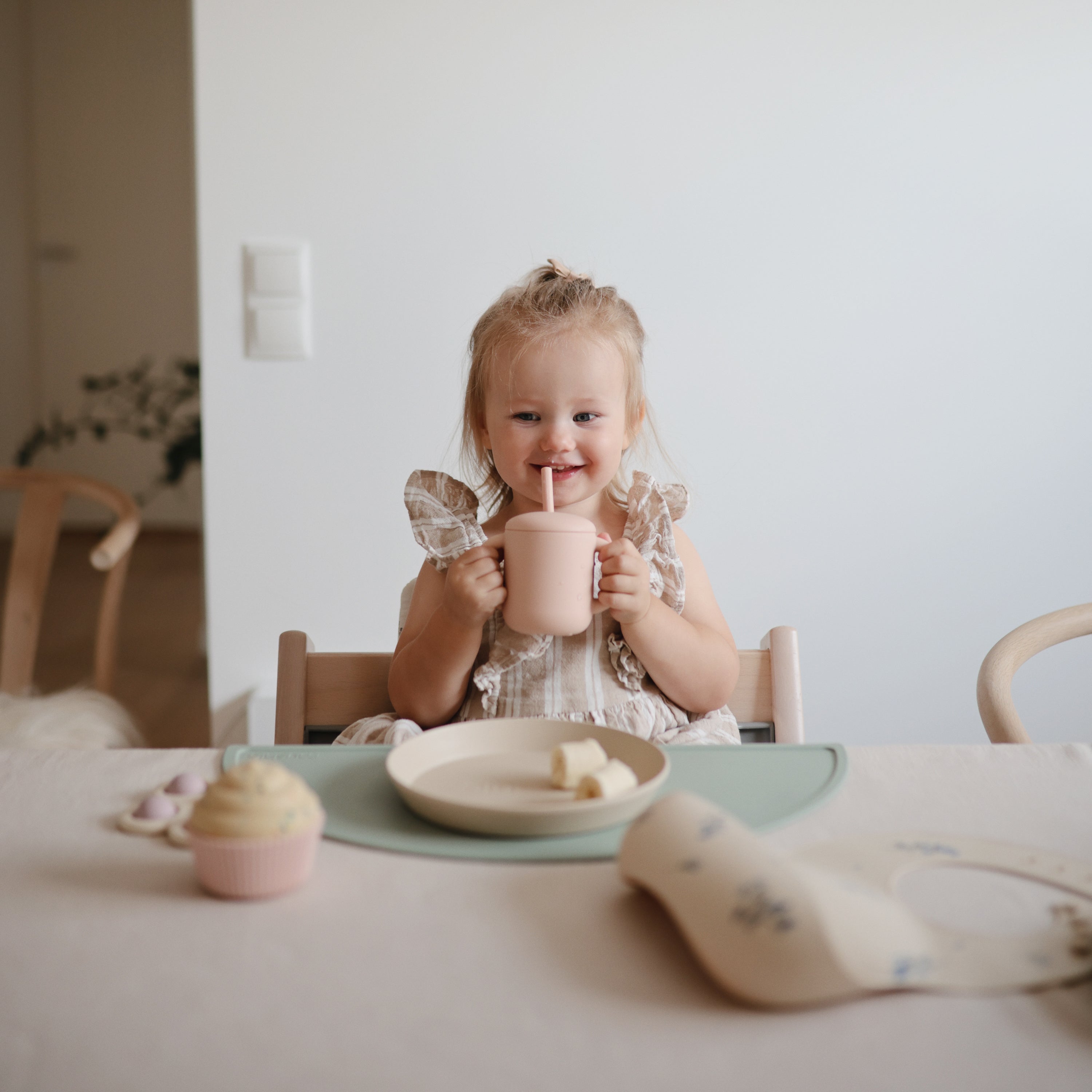 Round Dinnerware Plates